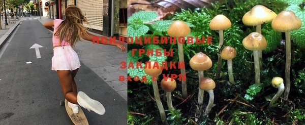 каннабис Алзамай