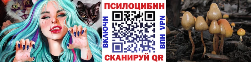 Псилоцибиновые грибы Psilocybine cubensis  Стародуб 