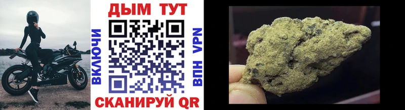 купить наркоту  hydra ссылка  Канабис марихуана  Стародуб 